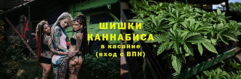 Бошки Шишки OG Kush  цены   Светогорск 